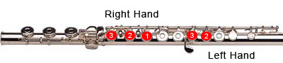 D Fingering
